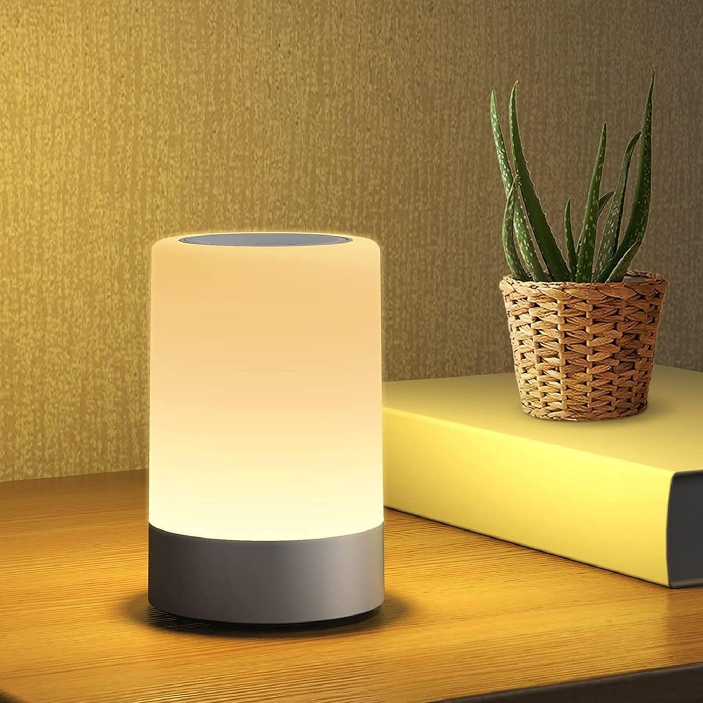 Touch Control LED Night Light Table Lamp